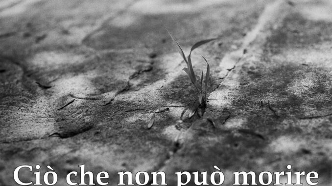 COPERTINA - CIO' CHE NON PUO' MORIRE (28OTT2024)