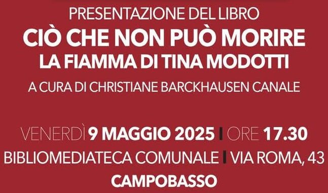Immagine WhatsApp 2025-04-25 ore 08.37.07_220ae72d - Copia